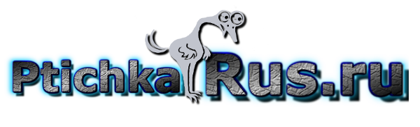 logo 1 - Заработок от 1000 рублей в день